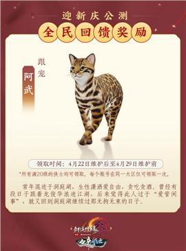 天龙八部私服wpe卡